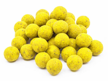 Scopex - Birdfood Boilies 20 mm 5 kg. XL Baits