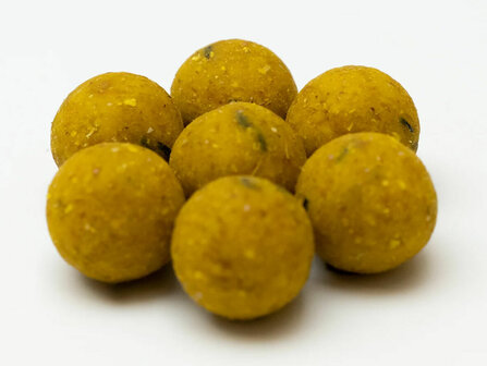 Bulk Scopex / Birdfood Boilies 20 mm - 5kg - XL Baits