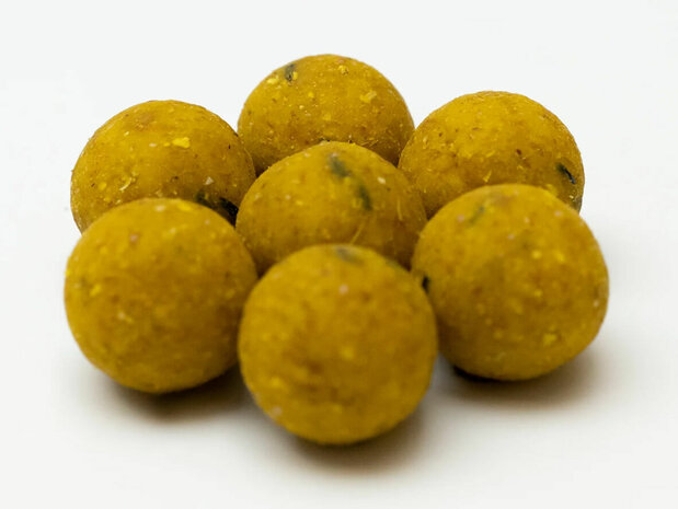 Bulk Scopex / Birdfood Boilies 20 mm - 5kg - XL Baits