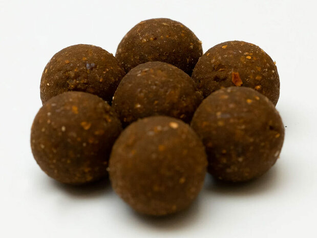 Spicy Squid & Krill Boilies 15mm - 5kg - XL Baits